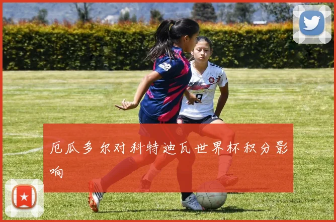 厄瓜多尔对科特迪瓦世界杯积分影响