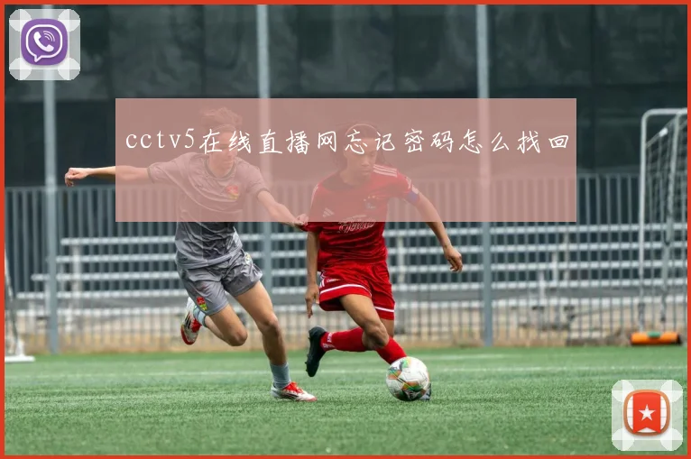 cctv5在线直播网忘记密码怎么找回