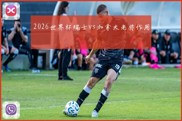 2026世界杯瑞士vs加拿大老将作用