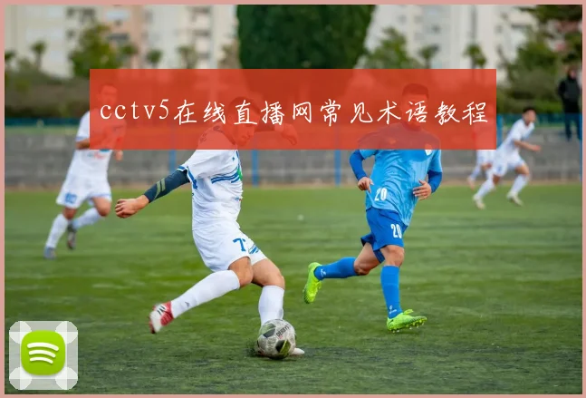 cctv5在线直播网常见术语教程