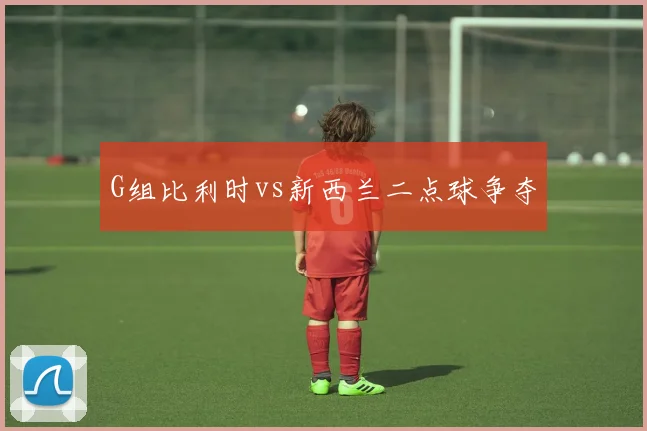 G组比利时vs新西兰二点球争夺