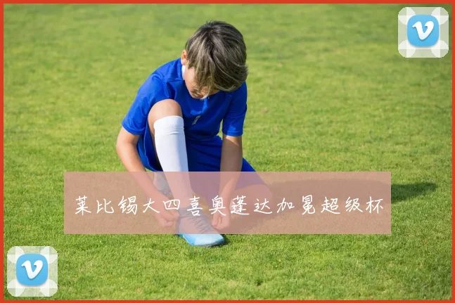 莱比锡大四喜奥蓬达加冕超级杯